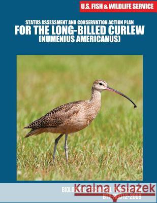 Status Assessment and Conservation Action Plan for the Long-billed Curlew (Numenius americanus) U. S. Fish and Wild Life Service 9781507740910 Createspace - książka