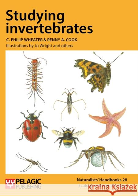 Studying invertebrates Wheater, C. Philip 9781784270827 Pelagic Publishing - książka