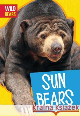 Sun Bears Tammy Gagne 9781607537793 Amicus High Interest - książka