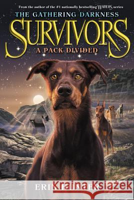 Survivors: The Gathering Darkness #1: A Pack Divided Hunter, Erin 9780062343352 HarperCollins - książka