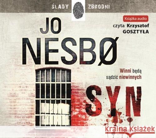 Syn. Audiobook w.2017 Nesbo Jo 9788327156730 Dolnośląskie - książka