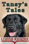Tansy's Tales Jennifer Rae 9780997863307 Jennifer Rae Trojan Publishing
