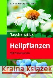 Taschenatlas Heilpflanzen : 130 Pflanzenporträts Bohne, Burkhard Dietze, Peter  9783800147595 Ulmer (Eugen) - książka