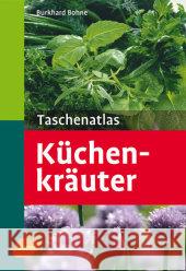 Taschenatlas Küchenkräuter Bohne, Burkhard   9783800149728 Ulmer (Eugen) - książka