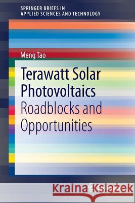Terawatt Solar Photovoltaics: Roadblocks and Opportunities Tao, Meng 9781447156420 Springer - książka