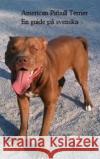 The American Pitbull Terrier - En Guide på Svenska Alcon, Alcon 9781304660084 Lulu.com