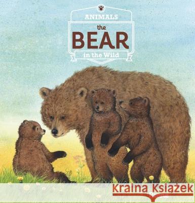 The Bear Renée Rahir 9781605372990 Clavis Publishing - książka
