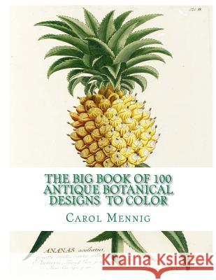 The Big Book of 100 Botanical Designs to Color Carol Elizabeth Mennig 9781517193256 Createspace - książka
