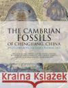 The Cambrian Fossils of Chengjiang, China: The Flowering of Early Animal Life Hou, Xian–guang; Aldridge, Richard; Cong, Peiyun 9781118896389 John Wiley & Sons