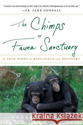 The Chimps of Fauna Sanctuary: A True Story of Resilience and Recovery Andrew Westoll 9780547737386 Mariner Books - książka