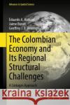 The Colombian Economy and Its Regional Structural Challenges: A Linkages Approach Eduardo A. Haddad Jaime Bonet Geoffrey J. D. Hewings 9783031226526 Springer