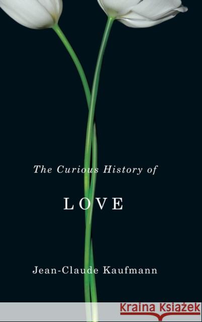 The Curious History of Love Jean-Claude Kaufmann David Macey 9780745651538 Polity Press - książka