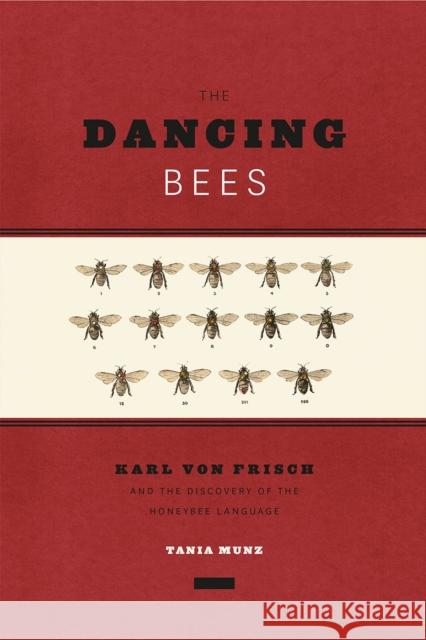 The Dancing Bees: Karl Von Frisch and the Discovery of the Honeybee Language Munz, Tania 9780226020860 University of Chicago Press - książka