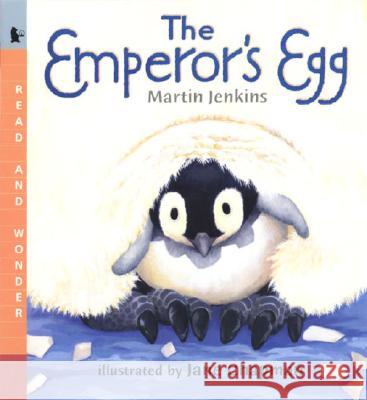 The Emperor's Egg Martin Jenkins Jane Chapman 9780763622336 Candlewick Press (MA) - książka