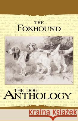 The Foxhound & Harrier - A Dog Anthology (a Vintage Dog Books Breed Classic) Various 9781406787740 Vintage Dog Books - książka