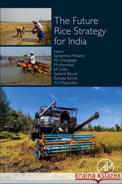 The Future Rice Strategy for India Samrendu Mohanthy P. G. Chengappa Mruthunjaya 9780128053744 Academic Press - książka