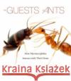 The Guests of Ants: How Myrmecophiles Interact with Their Hosts H Christina L. Kwapich 9780674265516 Belknap Press