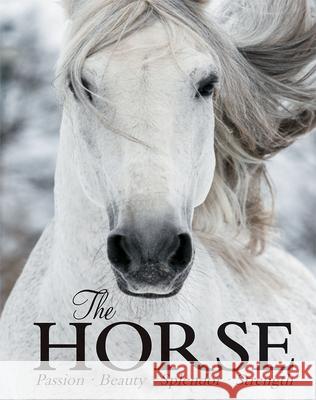The Horse Elaine Walker Cottage Door Press 9781646382262 Parragon - książka
