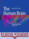 The Human Brain: Prenatal Development and Structure Marín-Padilla, Miguel 9783662519967 Springer