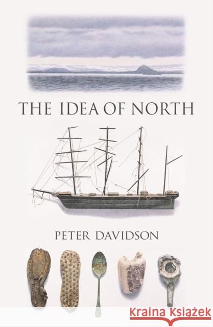 The Idea of North Peter Davidson 9781780235981 Reaktion Books - książka