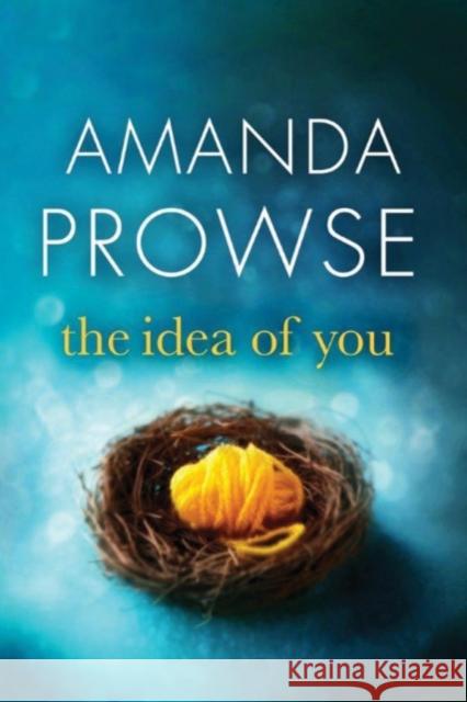 The Idea of You Amanda Prowse 9781503942332 Amazon Publishing - książka