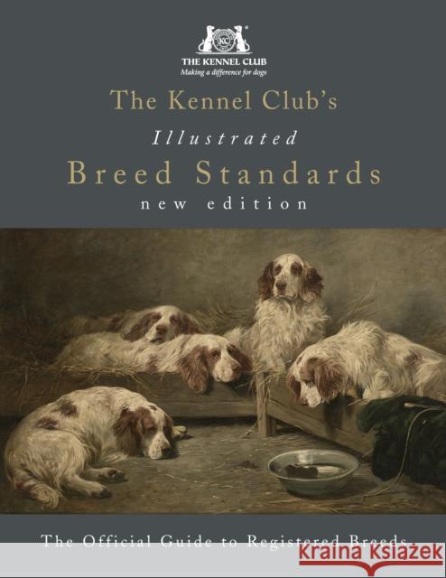 The Kennel Club's Illustrated Breed Standards: The Official Guide to Registered Breeds The Kennel Club 9781785035265 Ebury Publishing - książka