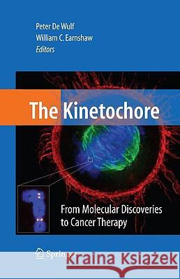 The Kinetochore: From Molecular Discoveries to Cancer Therapy De Wulf, Peter 9780387690735 Springer - książka