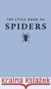 The Little Book of Spiders Simon D. (Adjunct Professor of Science Communication) Pollard 9780691251820 Princeton University Press