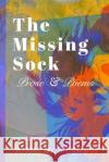 The Missing Sock S Edwards 9781034414643 Blurb