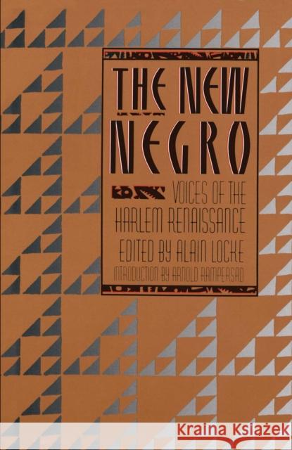 The New Negro LOCKE 9780684838311 Simon & Schuster - książka