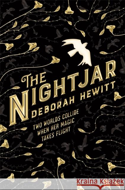 The Nightjar Deborah Hewitt 9781509896462 Pan Macmillan - książka