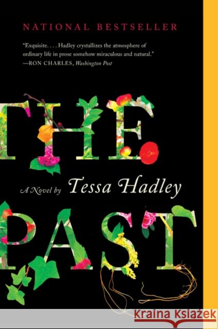 The Past Tessa Hadley 9780062270429 Harper Perennial - książka