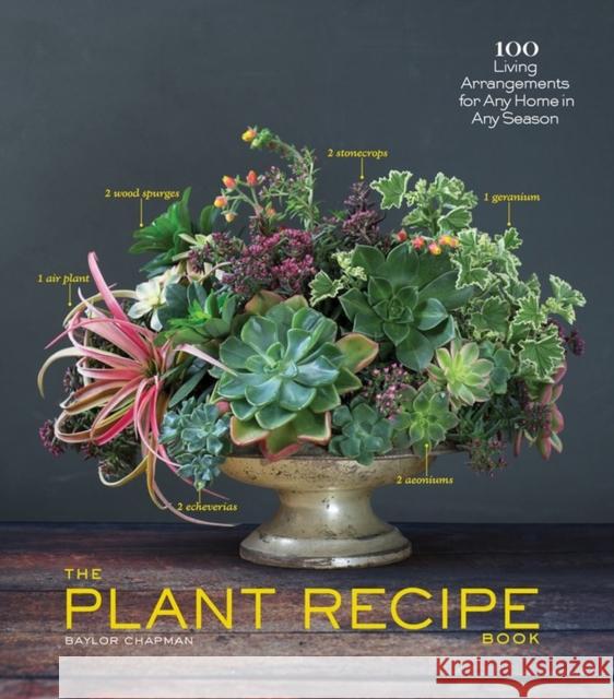 The Plant Recipe Book: 100 Living Arrangements for Any Home in Any Season Chapman, Baylor 9781579655518 Artisan Publishers - książka