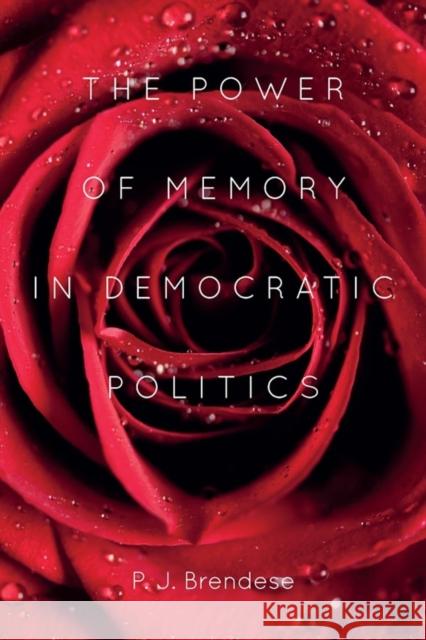 The Power of Memory in Democratic Politics P J Brendese 9781580464239  - książka