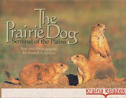The Prairie Dog: Sentinel of the Plains Russell A. Graves Russell A. Graves Russell A. Graves 9780896724563 Texas Tech University Press - książka