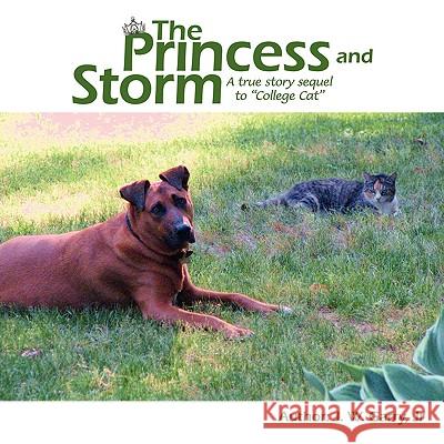 The Princess and Storm Jr. J 9781438949598 Authorhouse - książka