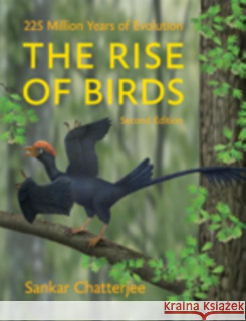 The Rise of Birds: 225 Million Years of Evolution Chatterjee, Sankar 9781421415901 John Wiley & Sons - książka