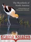 The Shorebirds of North America: A Natural History and Photographic Celebration Kevin T. Karlson 9780691220956 Princeton University Press