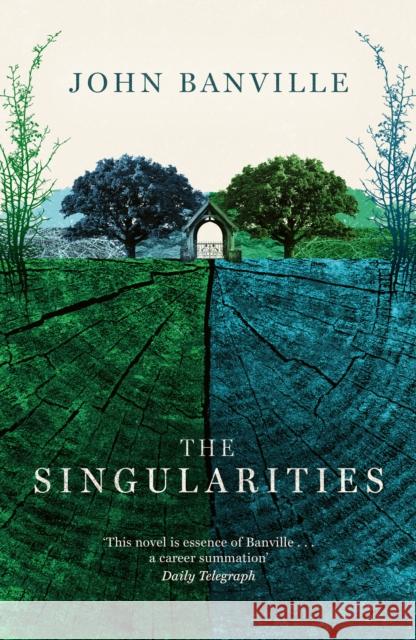 The Singularities John Banville 9781800753365 Swift Press - książka