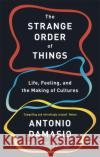 The Strange Order Of Things: Life, Feeling and the Making of Cultures Antonio Damasio 9781472147363 Little, Brown Book Group
