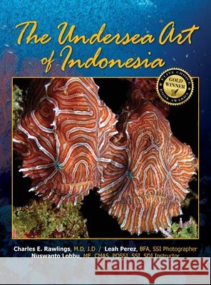 The Undersea Art of Indonesia M. D. J. D. Rawlings Bfa Leah Perez Me Cmas Lobbu 9781614937050 Peppertree Press - książka
