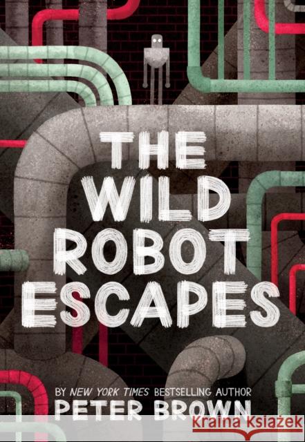 The Wild Robot Escapes (The Wild Robot 2) Peter Brown 9781848127517 Bonnier Books Ltd - książka