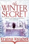 The Winter Secret Lulu Taylor 9781509840731 Pan Macmillan
