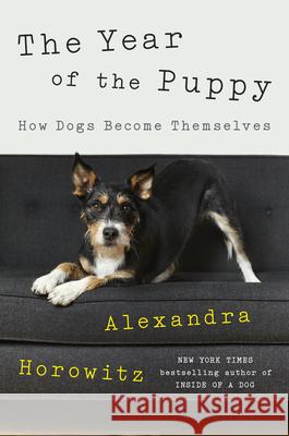 The Year of the Puppy: How Dogs Become Themselves Horowitz, Alexandra 9780593298008 Viking - książka