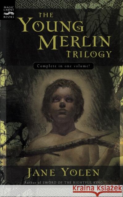 The Young Merlin Trilogy: Passager, Hobby, and Merlin Jane Yolen 9780152052119 Magic Carpet Books - książka