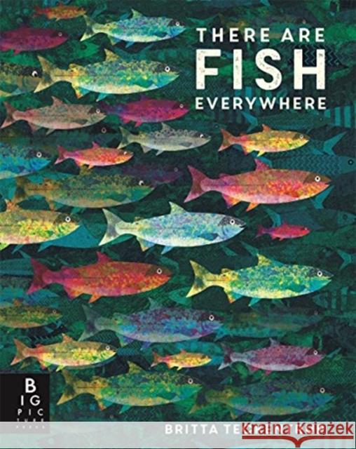 There are Fish Everywhere Katie Haworth 9781787417755 Templar Publishing - książka