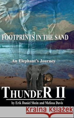 Thunder II: Footprints in the Sand Erik Daniel Shein Melissa Davis 9781629896236 World Castle Publishing - książka