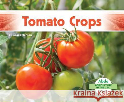 Tomato Crops Grace Hansen 9781098266226 Abdo Kids Jumbo - książka