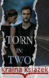 Torn in Two Vincent Morrone 9781509223879 Mainstream Thriller