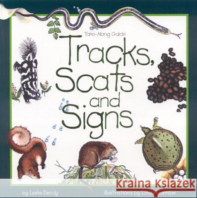 Tracks, Scats & Signs Dendy, Leslie 9781559715997 Northword Press - książka